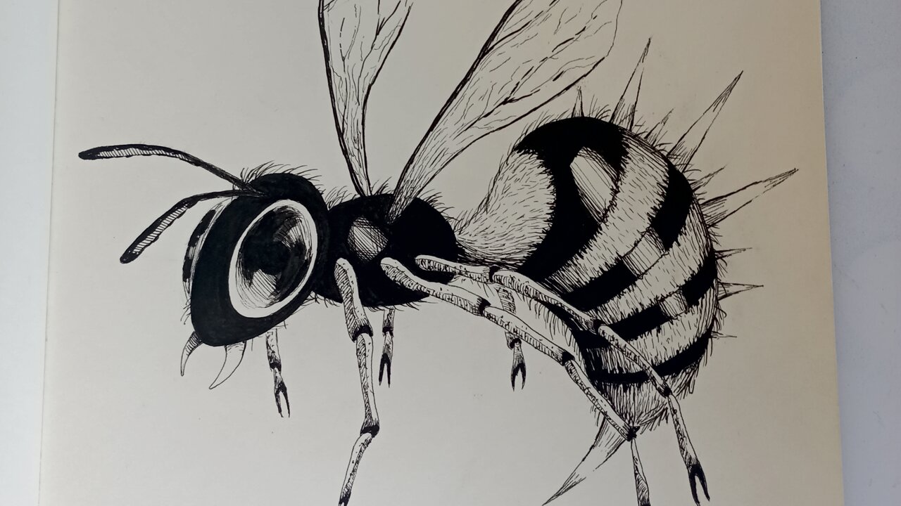 Drawing a Zinger🐝 from Donkey Kong Country in pen and ink