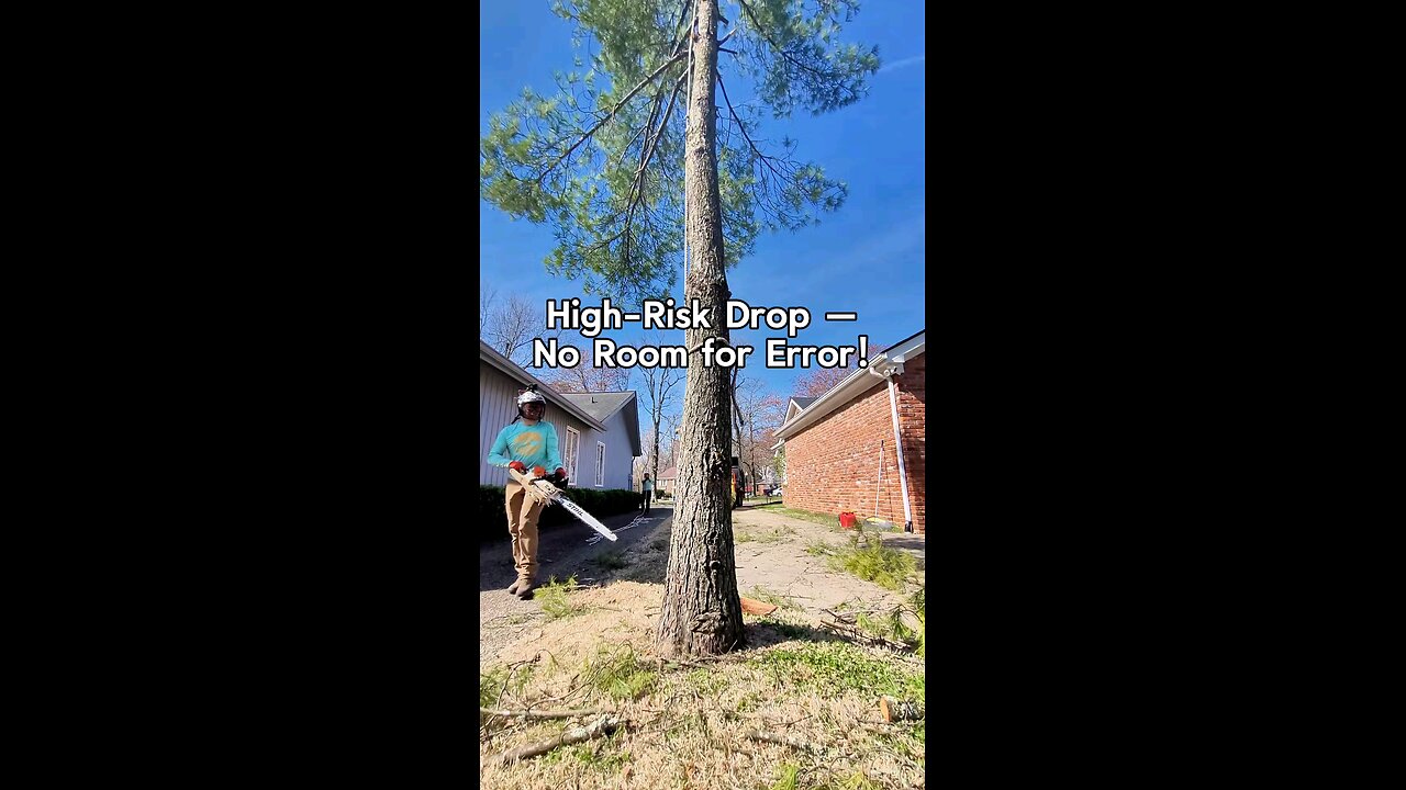 Dropping tree between houses