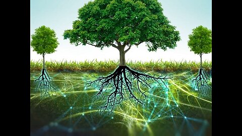 Roots