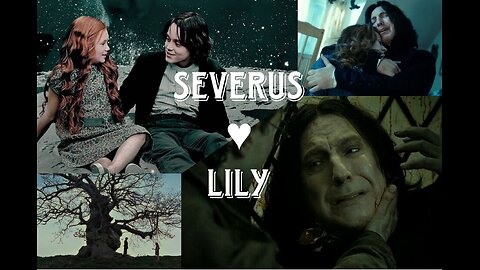 Severus & Lily | daylight🥀 (ＨＡＲＲＹ 🎥 ＰＯＴＴＥＲ)