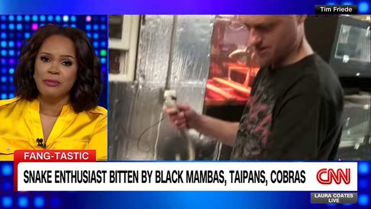 Man who injected himself with venom hundreds of times could revolutionize snakebite treatment