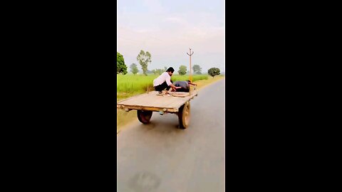 satisfying Video