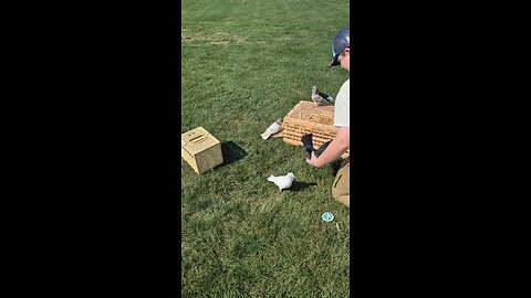 playing at the park