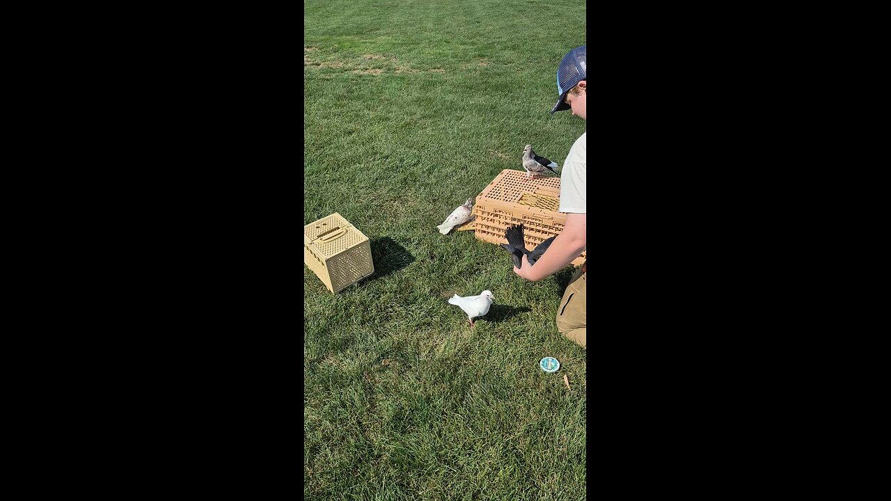 playing at the park