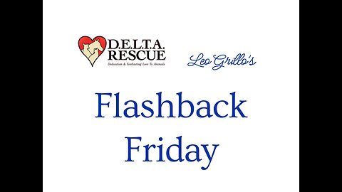 Leo's puppy rescue 20- years ago ... how did he find them!?