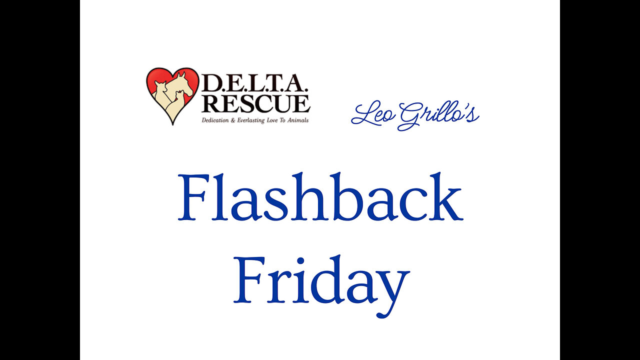 Leo's puppy rescue 20- years ago ... how did he find them!?
