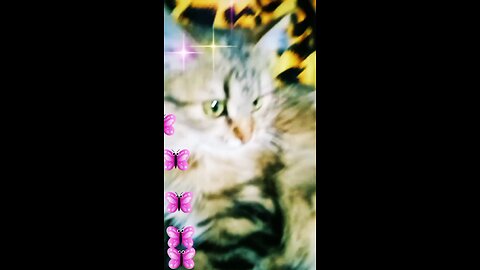 работать нигде не хочет!!! только кушать хочет