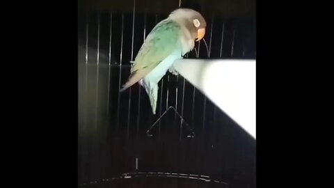 unusual meme COMPILATION