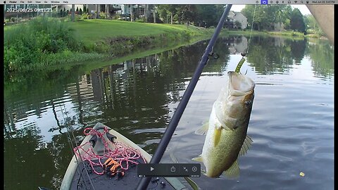 FA - best day for fishing 6.25.25