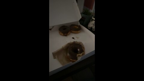 Donuts 🍩