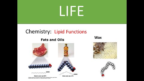 Chemistry: Fat and Lipid Function