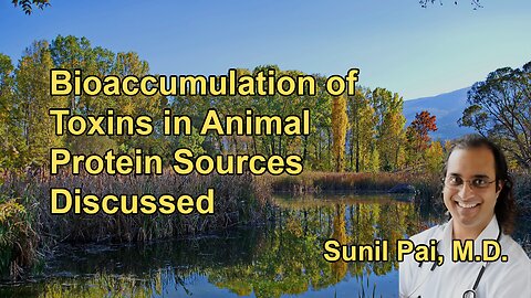 Bioaccumulation of Toxins in Animal Proteins, Highlighting the Higher