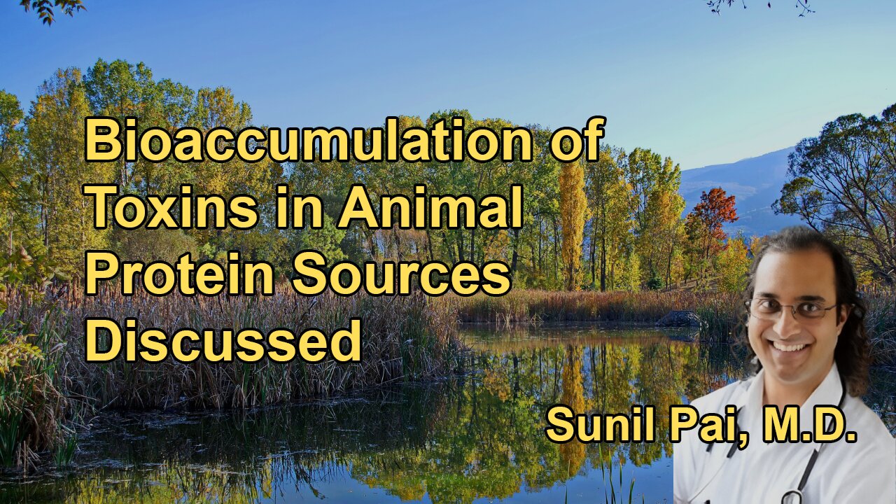 Bioaccumulation of Toxins in Animal Proteins, Highlighting the Higher