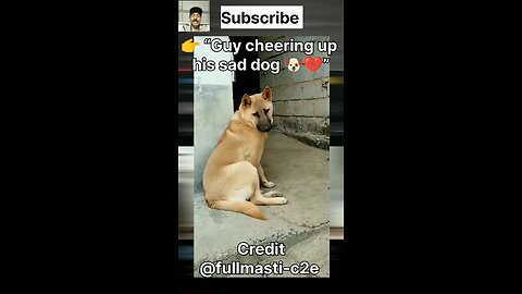 🤣 Dog Copies Human Dance! Funniest Pet Moment Ever! | BrainStormz Reaction