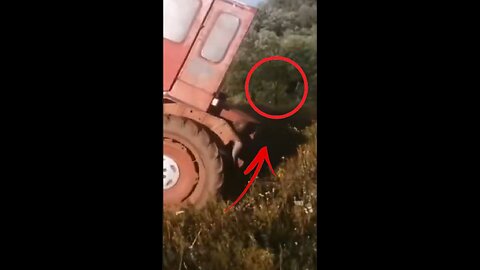 🚗💥 “When Cars Have a Mind of Their Own 😅 | Epic (and Hilarious) Car Fail