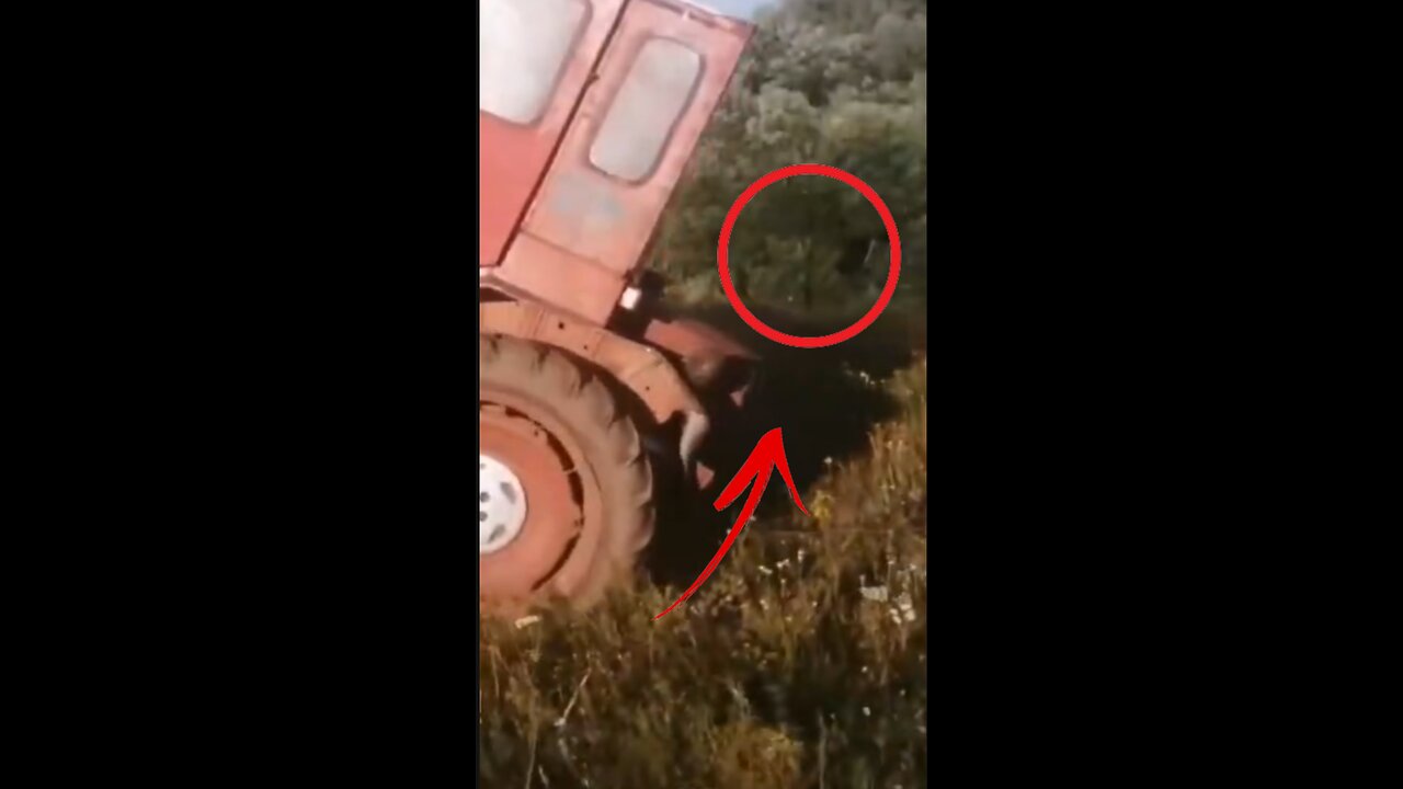 🚗💥 “When Cars Have a Mind of Their Own 😅 | Epic (and Hilarious) Car Fail
