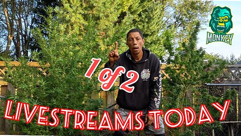 1st of the DOUBLE Barrel