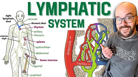 Lymphatic System