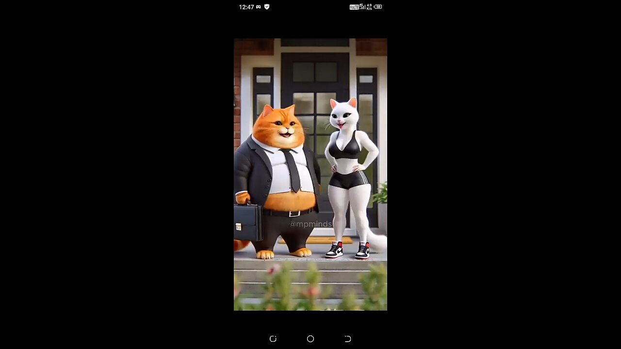 Cat's story ai video