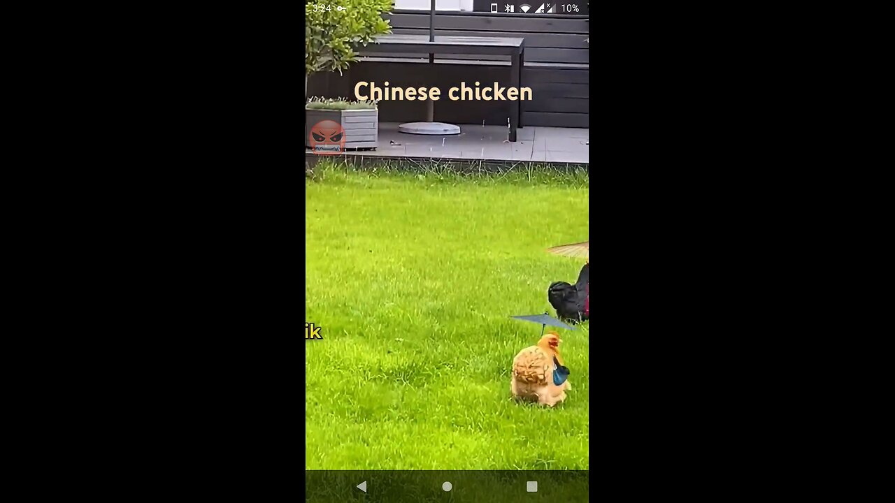 Army chiken