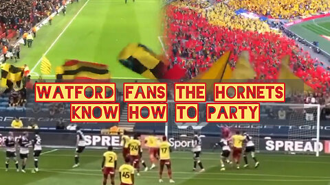 Watford fans The Hornets know how to party