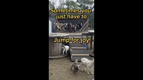 Sometimes you just have to jump!