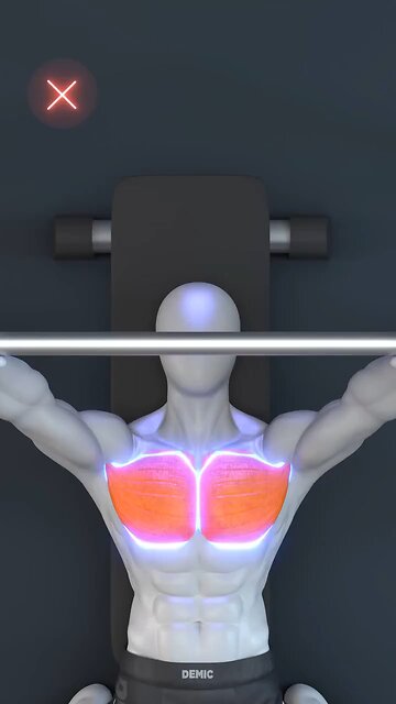 Exercise Plan And Nutritional Program