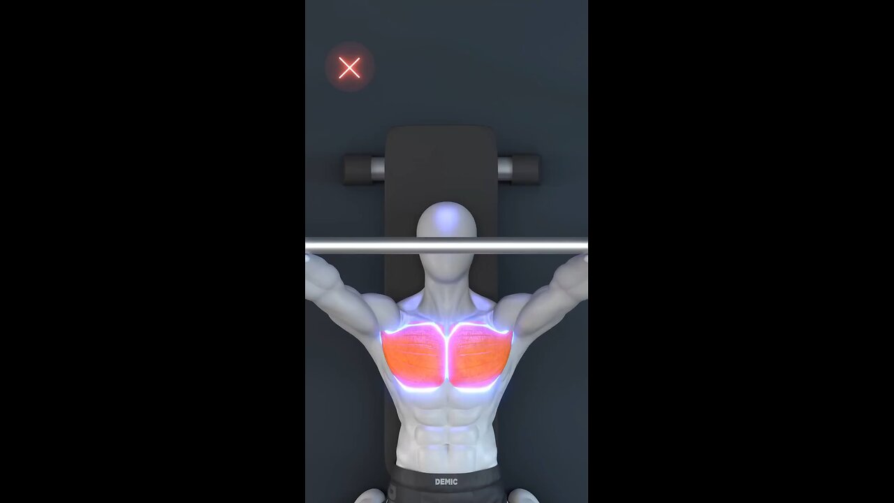 Exercise Plan And Nutritional Program