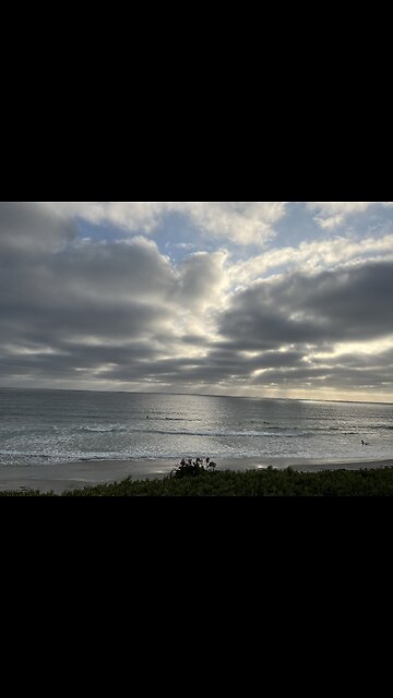 My puppy at the beach 🐾