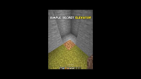 I MADE INVISIBLE ELEVATOR RATE IT