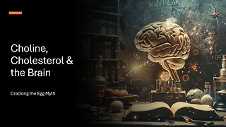 Choline, Cholesterol & the Brain: Cracking the Egg Myth