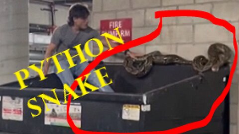 🐍 20ft Python Found on Dumpster in Downtown LA | Reptile Wrangler Rescues Giant Snake