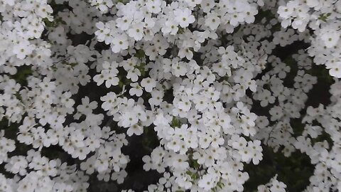 [May 22, 2020] Sun Down, Rant & Empty Hospital NY [SkyCover]