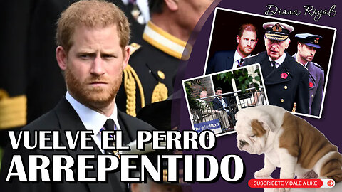 ¡William no olvida ni perdona! La razón detrás de su rechazo a Harry