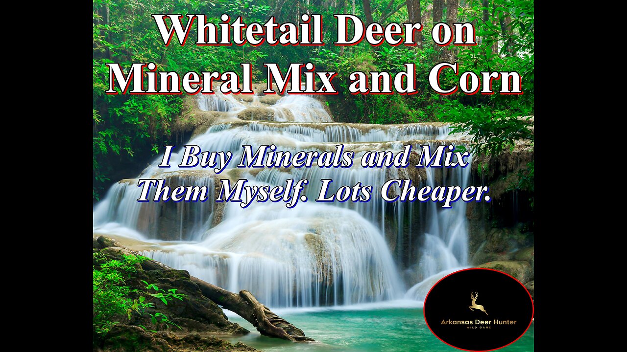 Deer On Mineral Mix and Corn