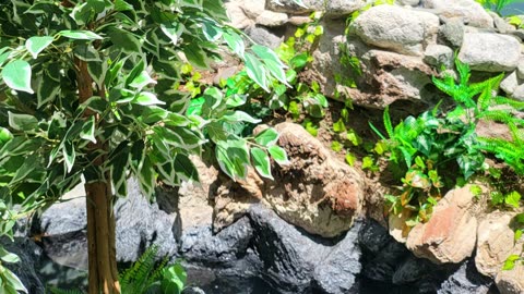 Landscaping Done Made With Clipchamp