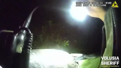 Volusia County Sheriff’s bodycam shows K-9 deputy encountering bear during manhunt