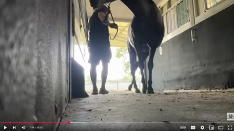 Evaluating Horse Trailer Loading