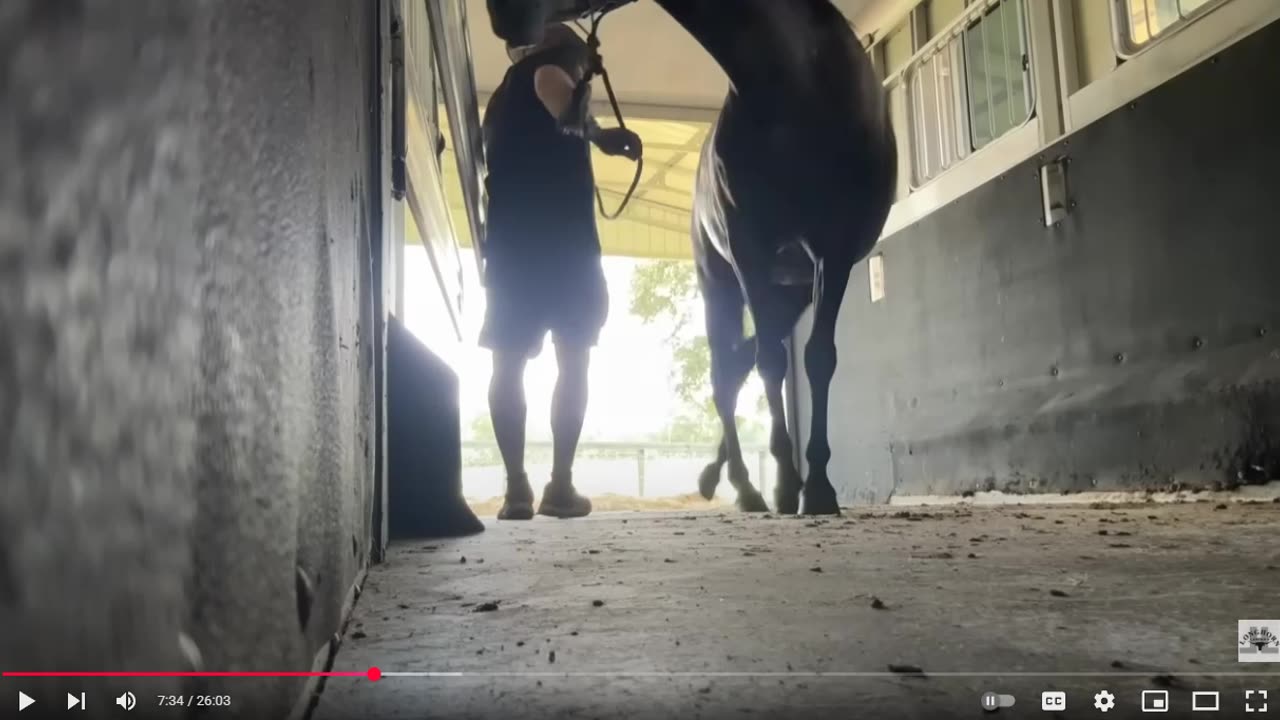 Evaluating Horse Trailer Loading