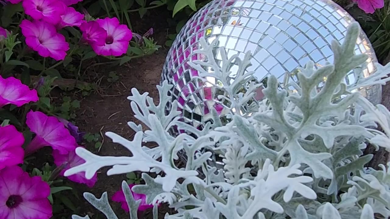 "Petunias just don't get any better than this."