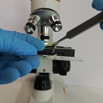 Here, take a good up close look at your bag of potato chips!