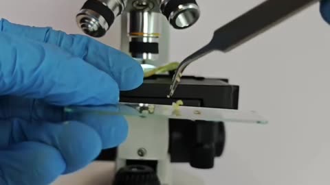 Here, take a good up close look at your bag of potato chips!