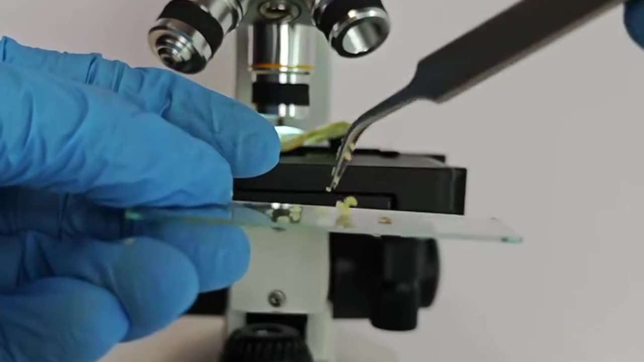 Here, take a good up close look at your bag of potato chips!