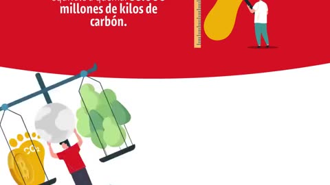 ¿Qué es el UPAC y Cómo Funciona? | Misfinanzasparainvertir.com