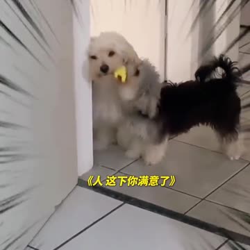 📹 Trending Chinese Viral Videos | Funny, Emotional & Shocking Moments