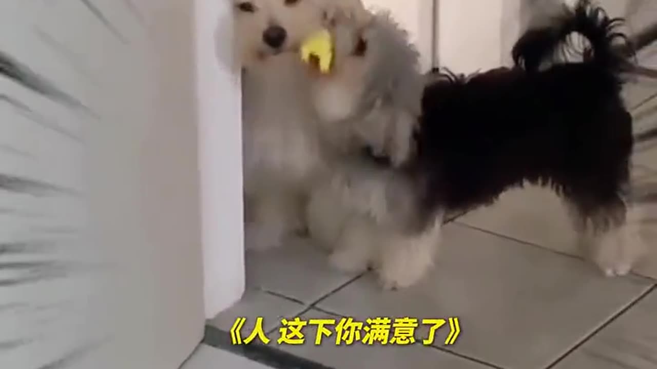 📹 Trending Chinese Viral Videos | Funny, Emotional & Shocking Moments