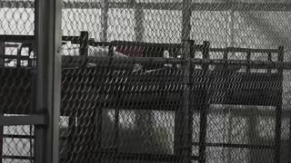 Trump inaugura la polémica prisión migratoria ‘Alligator Alcatraz’