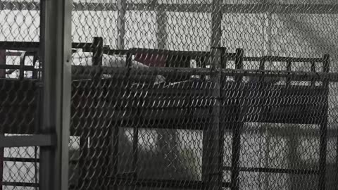 Trump inaugura la polémica prisión migratoria ‘Alligator Alcatraz’