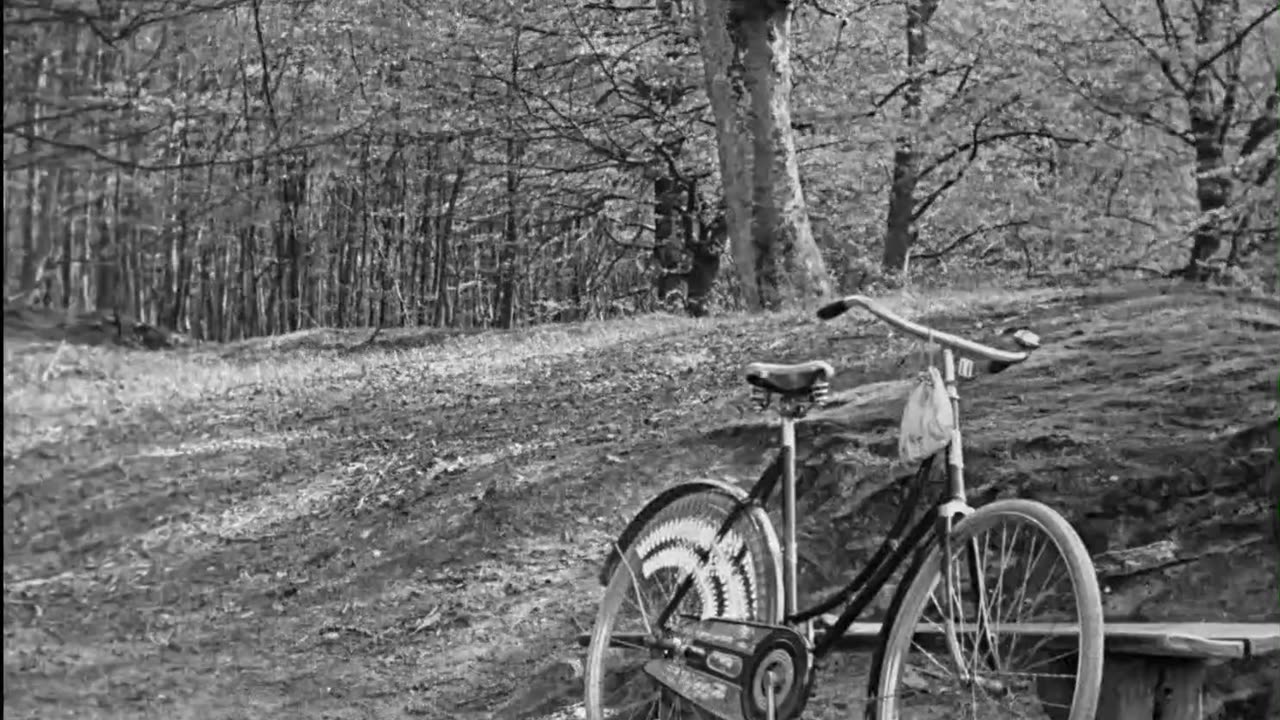 CUPID'S CROOKED WAY (Nordisk-1914) NEW English subtitles.