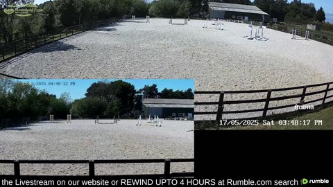 Mousehold Farm All Weather Riding arena